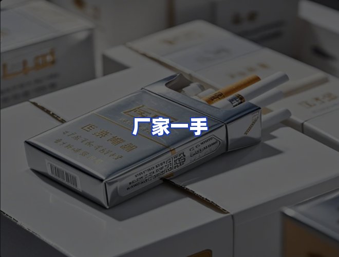 专业团队